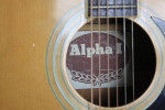 Alpha 1 Acoustic Guitar