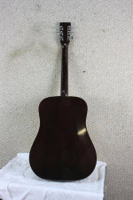 Alpha 1 Acoustic Guitar