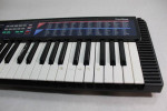 Casio CA110 ToneBank Keyboard 100 tones 100 rhythms