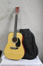 Accolade 41' 6 string acoustic guitar with Gig Bag