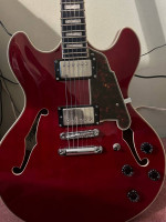 Selling my D’angelico semi-hollow + Amp (WHOLE SET!)
