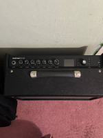 Selling my D’angelico semi-hollow + Amp (WHOLE SET!)
