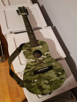 acoustic guitar