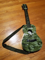 acoustic guitar