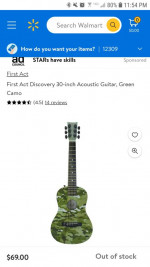acoustic guitar
