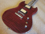 Electric Guitar (Foto flame)