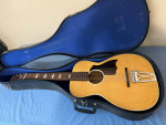 Vintage Harmony Stella S-69 Acoustic Guitar