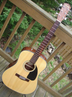 Guitar Fender DG8S