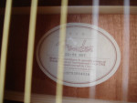 Guitar Fender DG8S