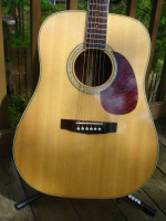 Cort 200 Earth Acoustic
