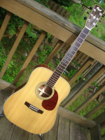 Cort 200 Earth Acoustic
