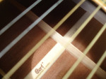Cort 200 Earth Acoustic