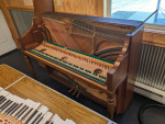 Kawai Piano - Will Deliver and Tune