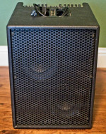 AER Basic Performer Acoustic Bass Amp