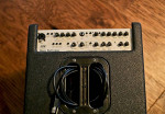 AER Basic Performer Acoustic Bass Amp