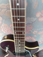 Rare Purple Burst Les Paul Jay Turser