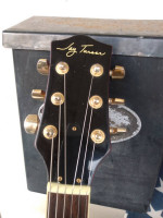 Rare Purple Burst Les Paul Jay Turser