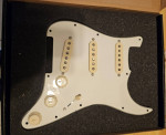 Fender Custom Shop Fat 50's Loaded Pickguard