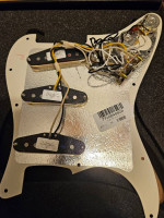 Fender Custom Shop Fat 50's Loaded Pickguard
