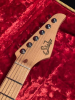 Suhr TS  (best of both worlds - Strat and Tele)