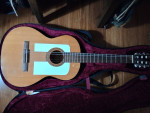 🎶USA SUNLIGHT VINTAGE GUITAR🎶