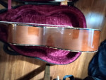 🎶USA SUNLIGHT VINTAGE GUITAR🎶