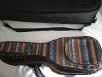 🎶MINT CONDITION GUITALELE WITH BAG