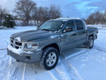 Others 100,000 mi