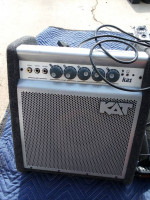 Kat1 Amplifier