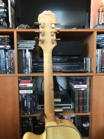 Epiphone Emperor Joe Signature Pass