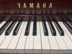 Yamaha M560QA Studio Upright Piano 44" Satin Mahogany