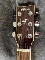 Yamaha Acoustic Guitar