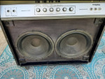 1972 Ampeg VT-22