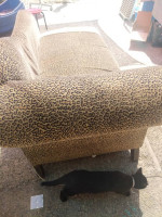 Leopard Fainting Couch love seat Sofa Chair. GOOD CONDITION