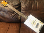 NEW! Bohemian Honey Oil Can Guitar