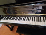 Upright Piano Bergmann