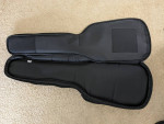 Roadrunner bass gig bag. Never used