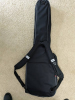 Roadrunner bass gig bag. Never used