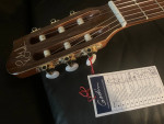 Godin Concert Classica II (brand new, all solid wood, fishman pickup)
