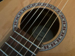 Godin Concert Classica II (brand new, all solid wood, fishman pickup)
