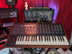 Korg MonoPoly (Vintage Para Modulation Monster)