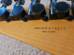 Ibanez S540LTD BK [1]