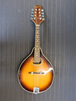 Johnson MA-110 Oval Hole Mandolin
