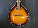 Johnson MA-110 Oval Hole Mandolin
