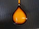 Johnson MA-110 Oval Hole Mandolin