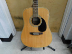 Austin AU506 "Deluxe" Acoustic Guitar