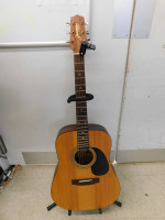 Jasmine  S-35 by Takamine Acoustic Guitar