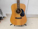 Jasmine  S-35 by Takamine Acoustic Guitar
