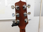 Jasmine  S-35 by Takamine Acoustic Guitar