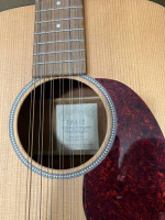 12-string guitar